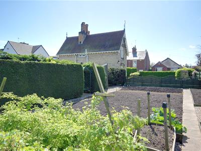 Picture 14